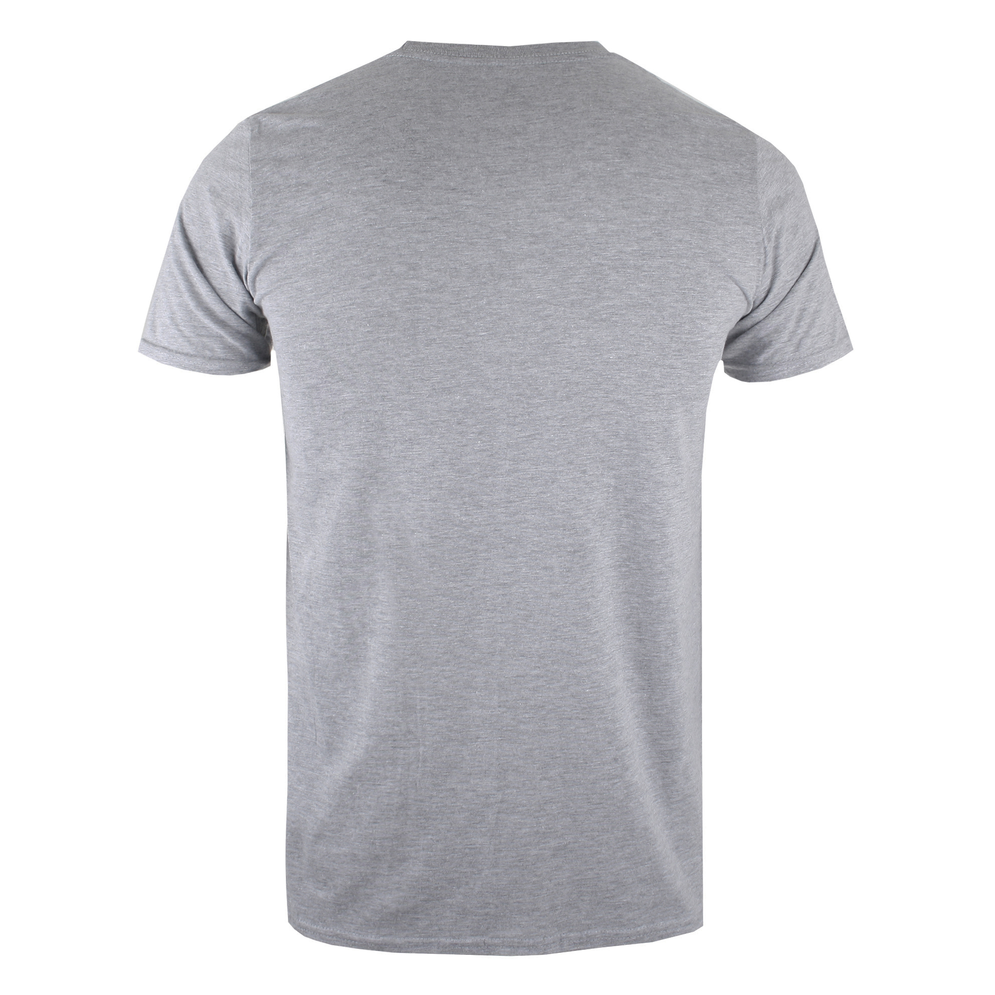 Jurassic Park Grey Marl Distressed Logo T-Shirt | The Rainy Days