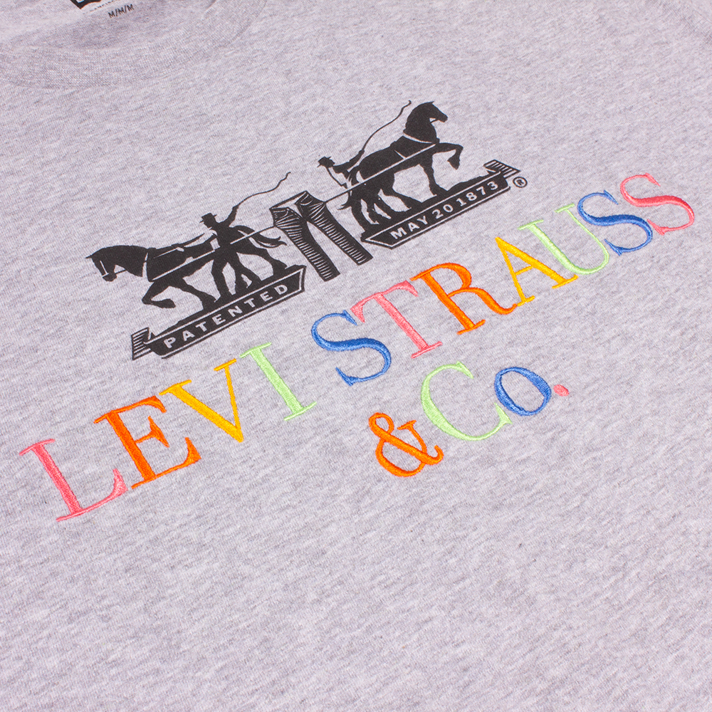 Levi's Men's Grey Varsity 90's T-Shirt | The Rainy Days